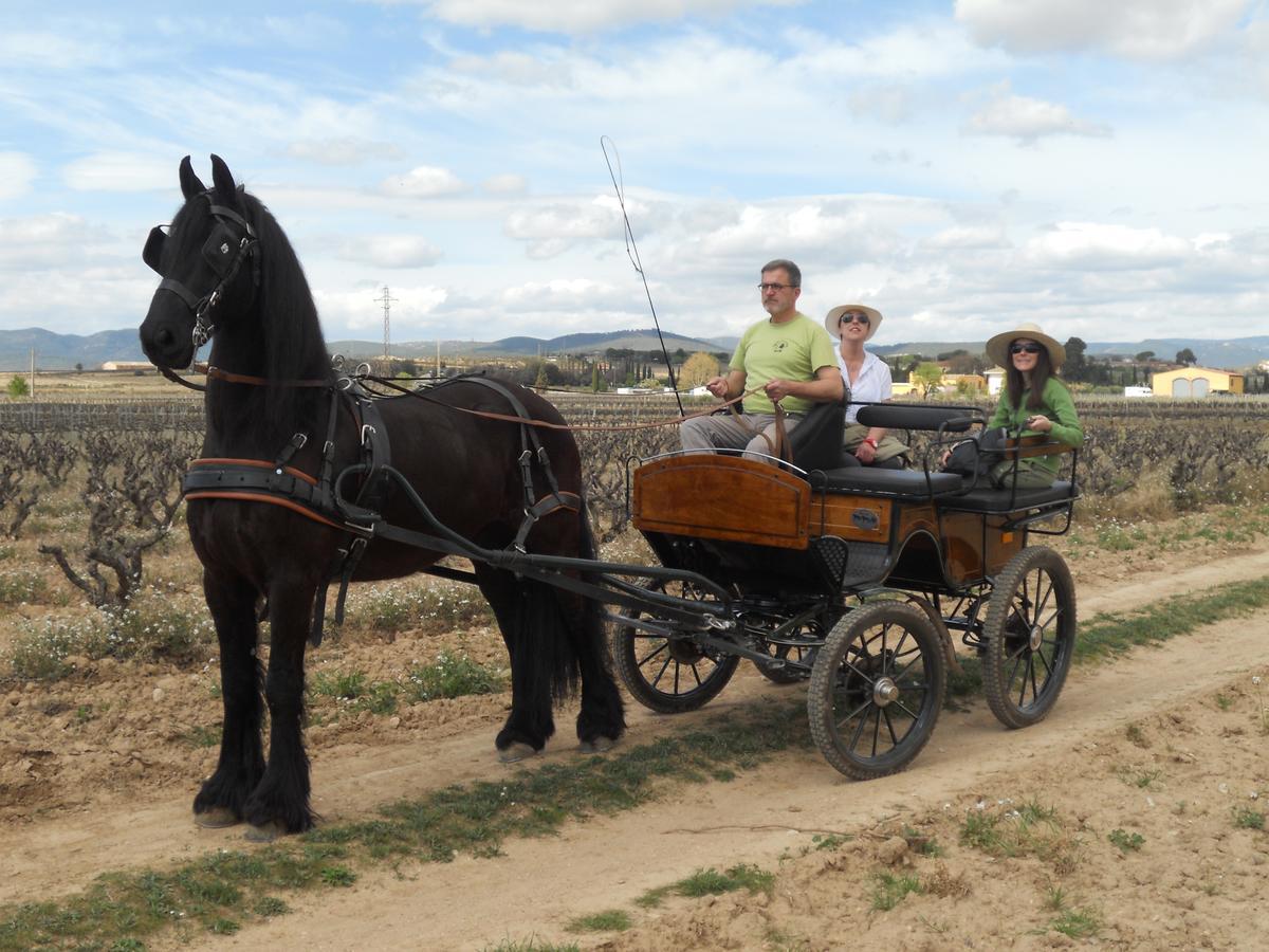 Hotel Rural Cal Ruget Vilobi Del Penedes Экстерьер фото